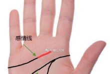 情感线分叉，解读人际关系复杂性（从手相中看感情线的混乱）