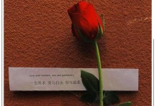 用表白的话让女生坠入你的情网（15个浪漫而诚挚的表白方式，让她为你心动不已）