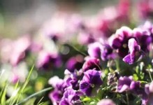 化解误解的三步骤（以善意解释，重建信任）