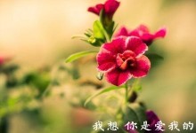 北漂挽回失去的爱情的秘诀（从自我调节到行动计划，掌握恢复爱情的技巧）