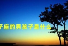 如何追求双子座女生（懂得沟通很重要）