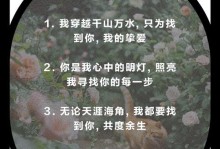 找寻告白的秘密——一份深情的告白（寻找爱情的真谛）