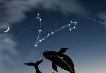 星座大揭秘（了解这些星座，看看你是否也是其中之一！）