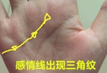 看看你的感情线是哪种，手纹乱有什么说法（解析手相学中的感情线，手纹乱究竟代表什么？）