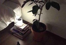 如何在冷战分手后挽回爱情？（分手后的五大挽回技巧，让你恢复过去的爱情）