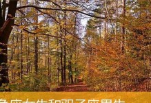 星座男生的选择（12星座男生眼中的女性魅力，你会选择哪一种？）