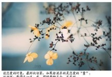 爱情信息短信的魅力（文字传递情感，缘起于信息时代）