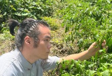 如何挽回分居的夫妻冷战期（夫妻关系破裂之后，如何重新拾起爱情）