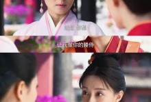 逆天爱情（爱与家庭、理想与现实的抉择，青春的勇气与坚定）